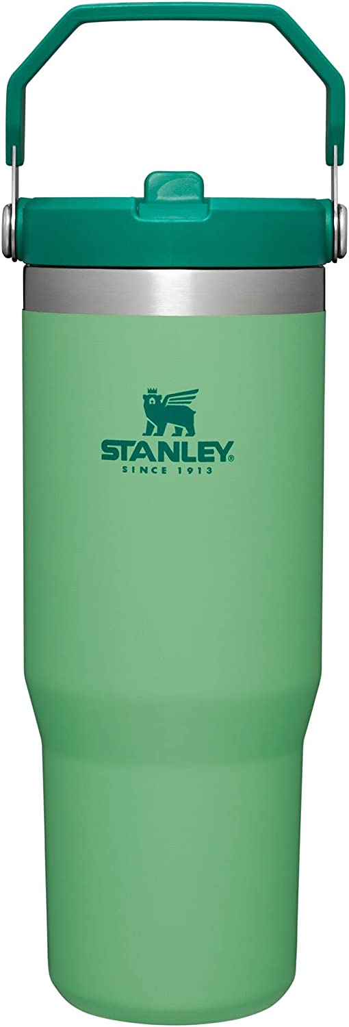 Stanley IceFlow Stainless Steel Tumbler with Straw, Vacuum Insulated Water Bottle for Home, Office or Car, Reusable Cup with Straw Leakproof Flip