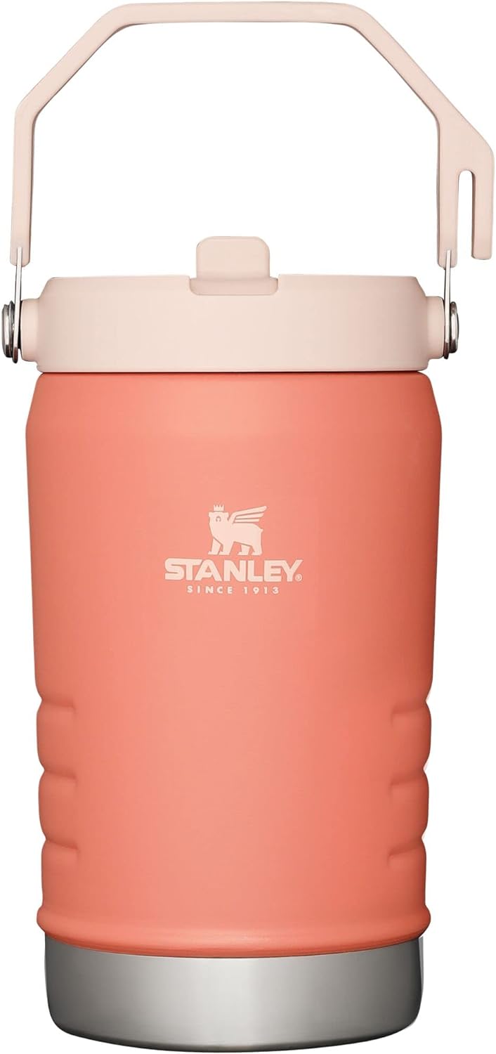 Stanley IceFlow Stainless Steel Tumbler with Straw, Vacuum Insulated Water Bottle for Home, Office or Car, Reusable Cup with Straw Leakproof Flip