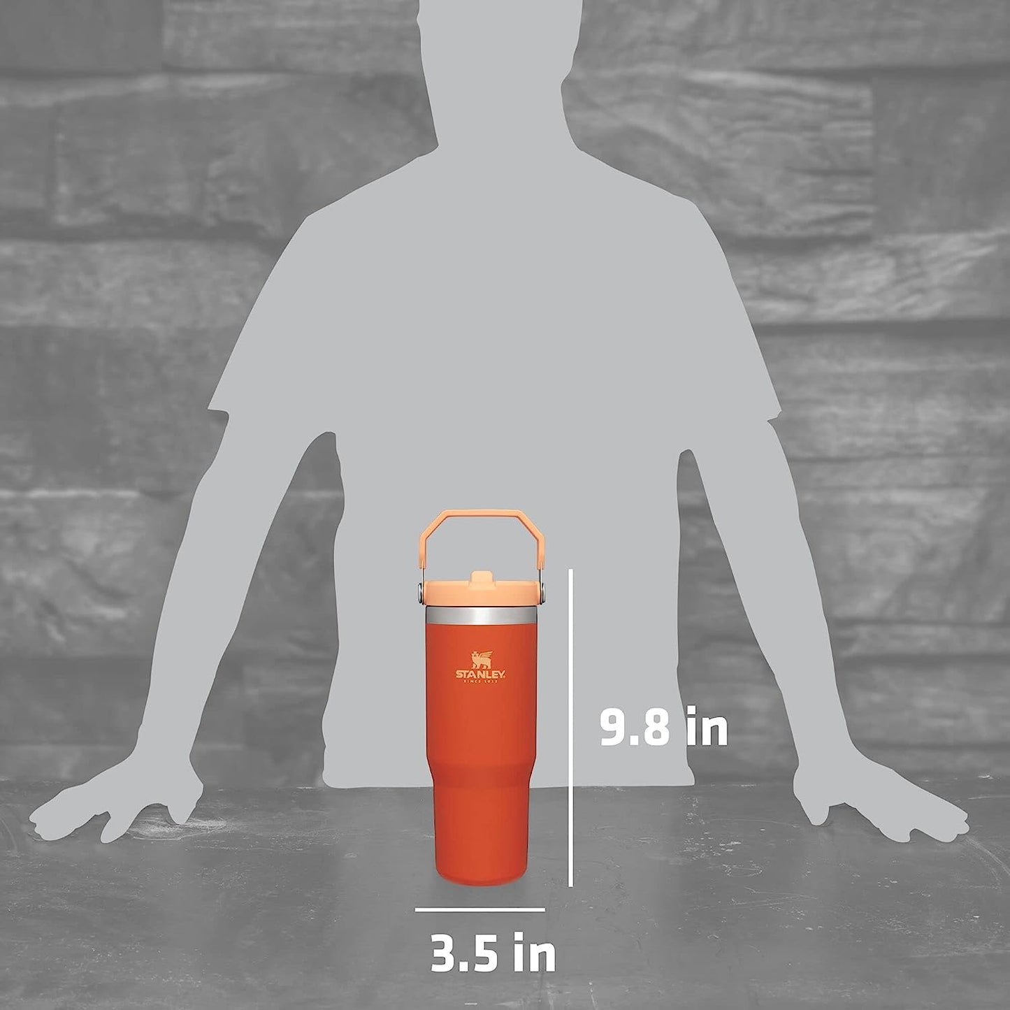 Stanley IceFlow Stainless Steel Tumbler with Straw, Vacuum Insulated Water Bottle for Home, Office or Car, Reusable Cup with Straw Leakproof Flip