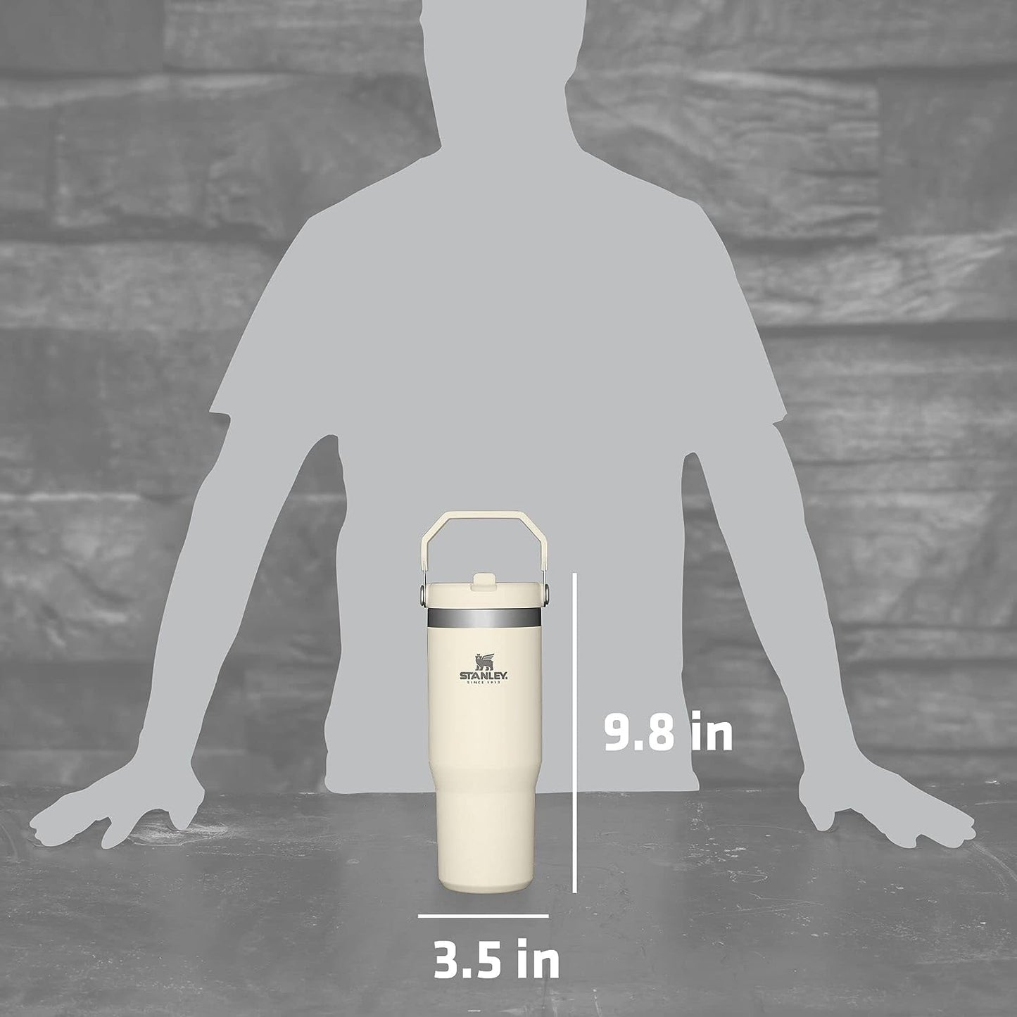 Stanley IceFlow Stainless Steel Tumbler with Straw, Vacuum Insulated Water Bottle for Home, Office or Car, Reusable Cup with Straw Leakproof Flip