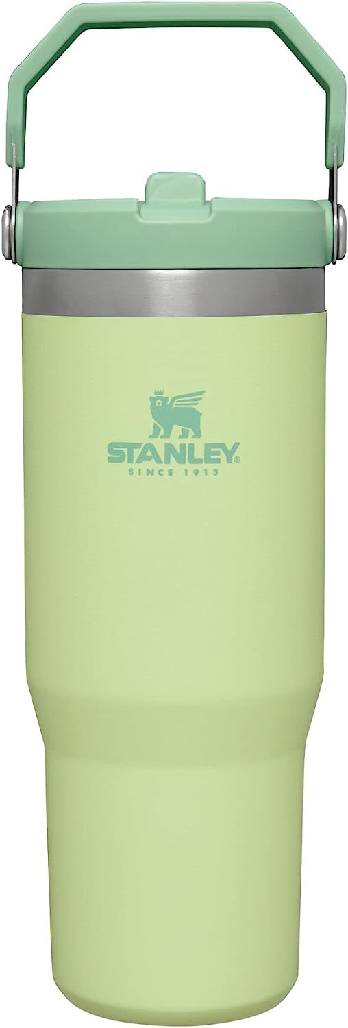 Stanley IceFlow Stainless Steel Tumbler with Straw, Vacuum Insulated Water Bottle for Home, Office or Car, Reusable Cup with Straw Leakproof Flip