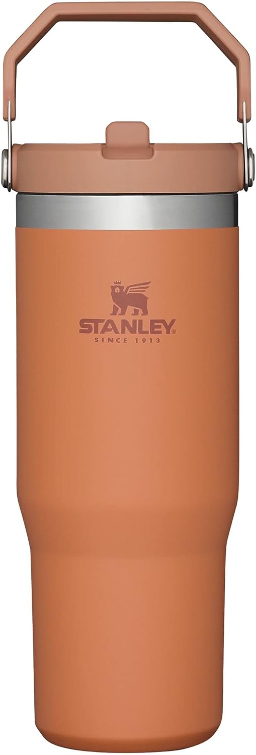 Stanley IceFlow Stainless Steel Tumbler with Straw, Vacuum Insulated Water Bottle for Home, Office or Car, Reusable Cup with Straw Leakproof Flip