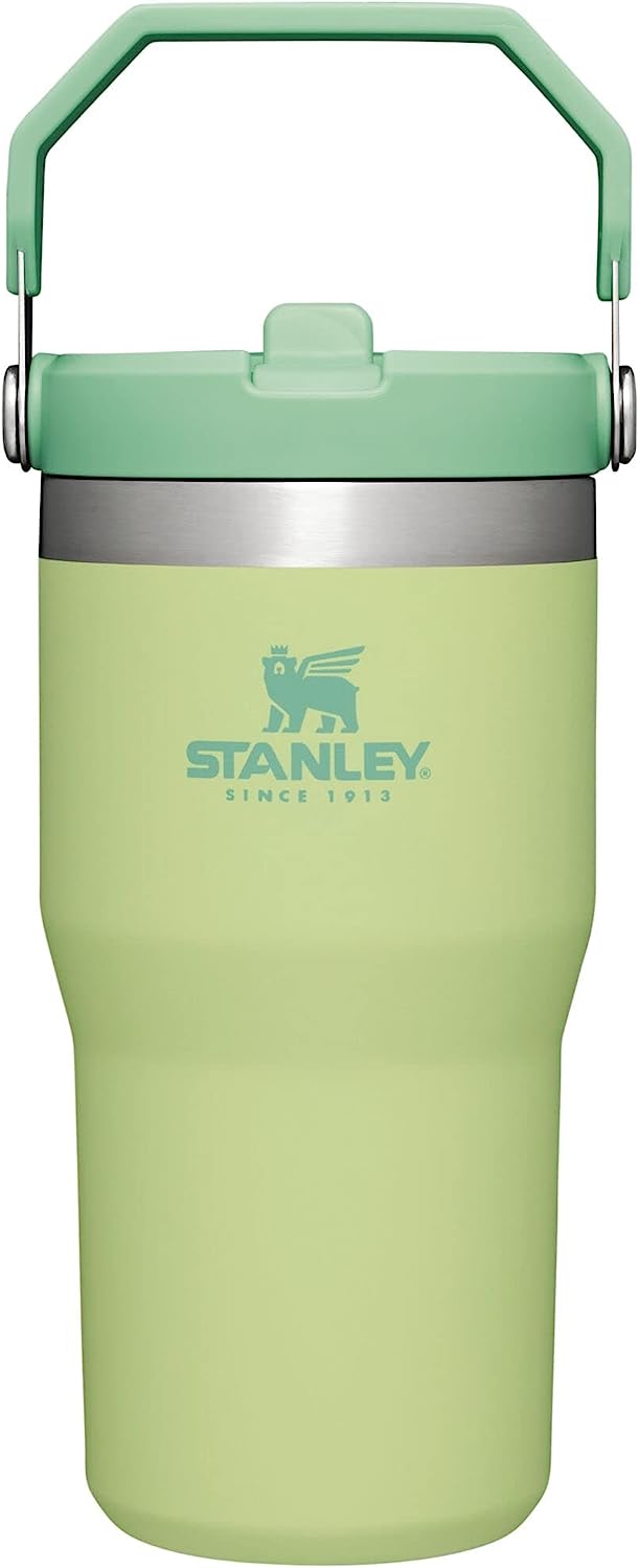 Stanley IceFlow Stainless Steel Tumbler with Straw, Vacuum Insulated Water Bottle for Home, Office or Car, Reusable Cup with Straw Leakproof Flip