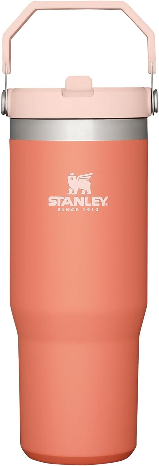 Stanley IceFlow Stainless Steel Tumbler with Straw, Vacuum Insulated Water Bottle for Home, Office or Car, Reusable Cup with Straw Leakproof Flip