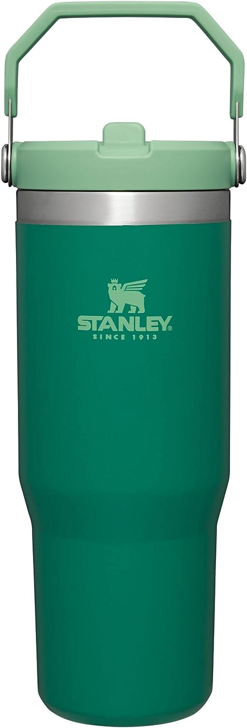 Stanley IceFlow Stainless Steel Tumbler with Straw, Vacuum Insulated Water Bottle for Home, Office or Car, Reusable Cup with Straw Leakproof Flip